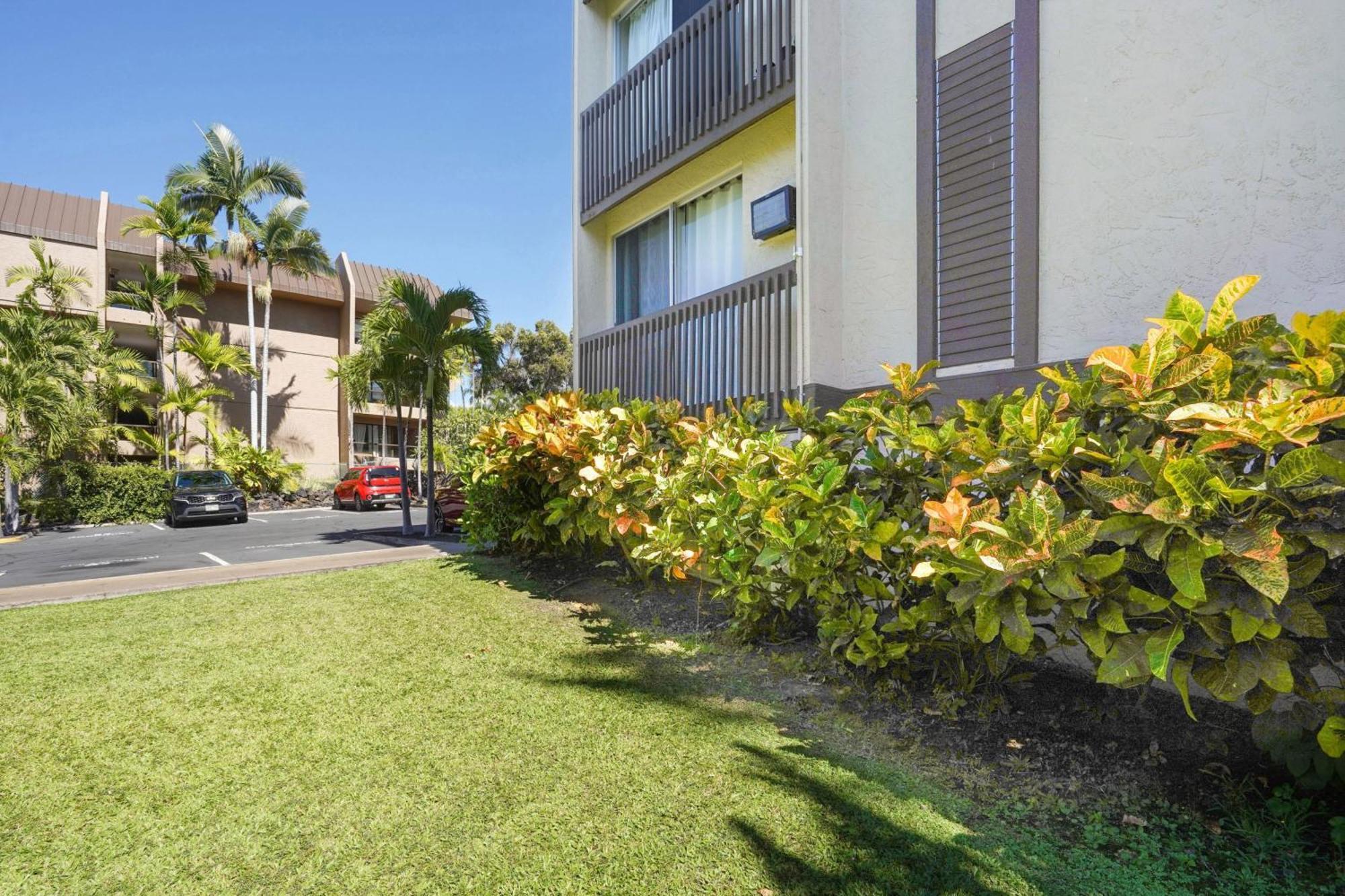 Airy Kailua-Kona Condo Less Than 1 Mi To Beach And Town Ngoại thất bức ảnh